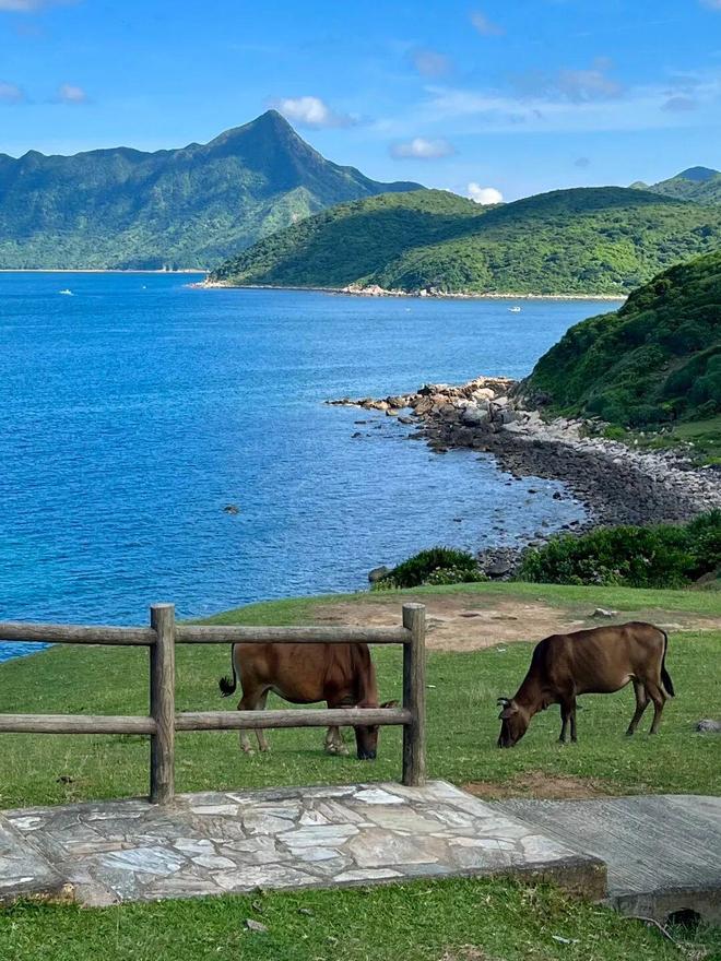 二段徒步露营、打卡网红破边洲、游览塔门岛AG真人地址深港跨年徒步丨香港麦理浩径第(图7)